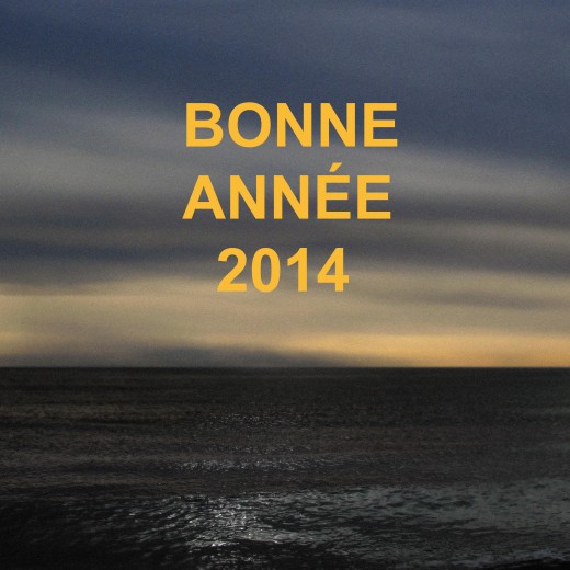 bonne année 2014