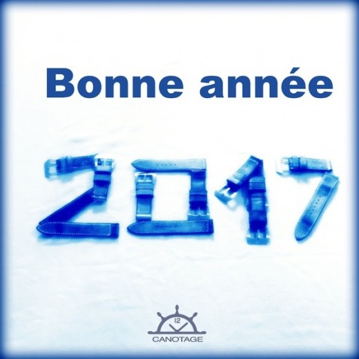 bonne année 2017